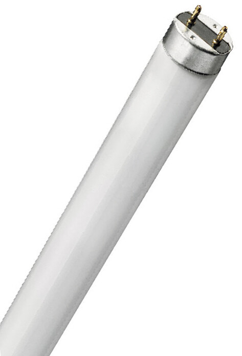 tUBO FLUORESCENTE INSECTICIDA T8 10W 345mm        